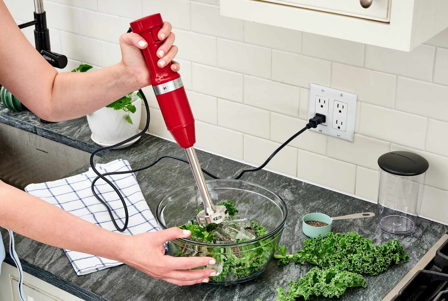 Best Immersion Blender TruLiving Guide