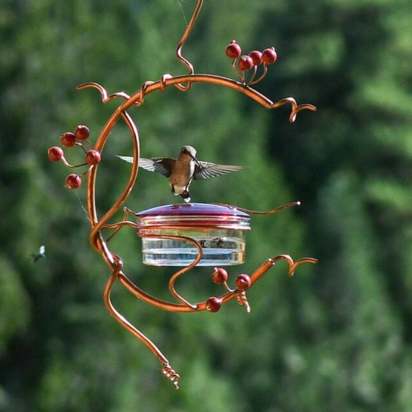 Hummingbird-Feeder-Bird-Water-Drinker-Feeder-Waterer-Pet-Bird-Supplies-Garden-Backyard-Decor-Hummingbird-Drinker-Bird